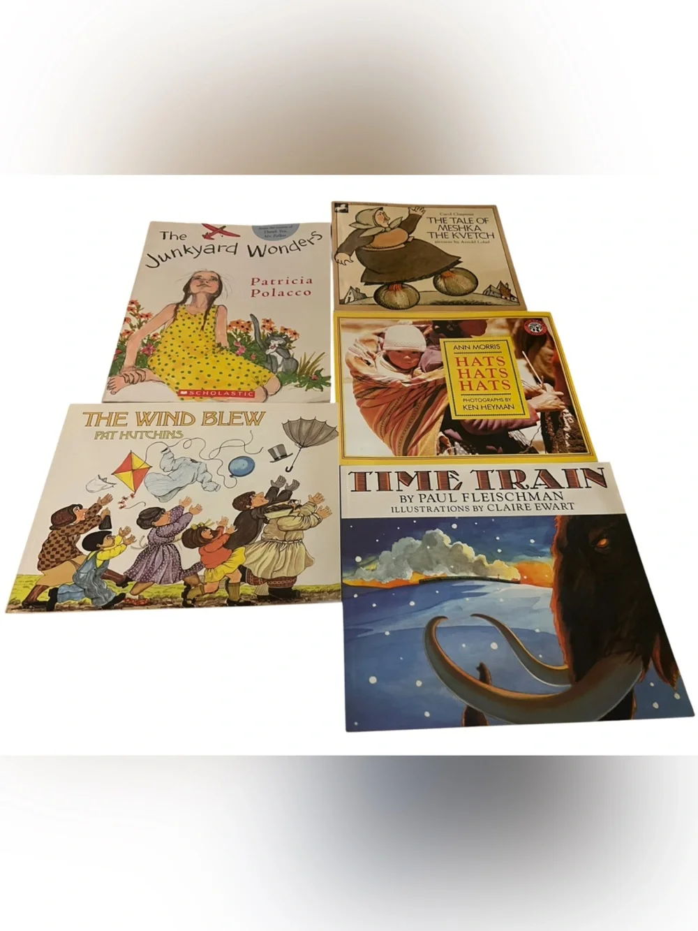 Children's Illustrated Book Set of 5 Books